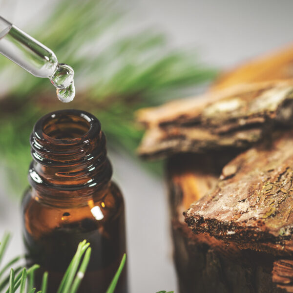 pine bark tincture dripping from glass pipette